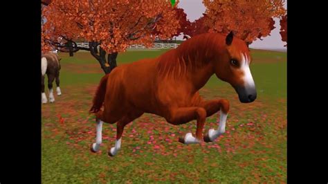 The Sims 3 Pets Horses Of Sunset Ranch Youtube