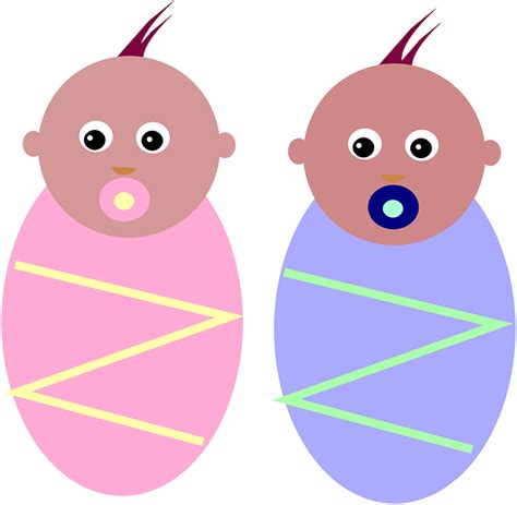 Baby Twins Wrapped Free Vector Graphic On Pixabay
