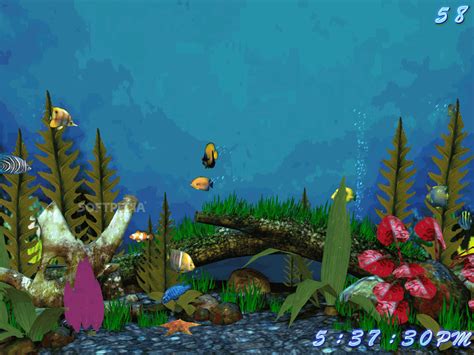 Download Fish Aquarium 3d Screensaver 20