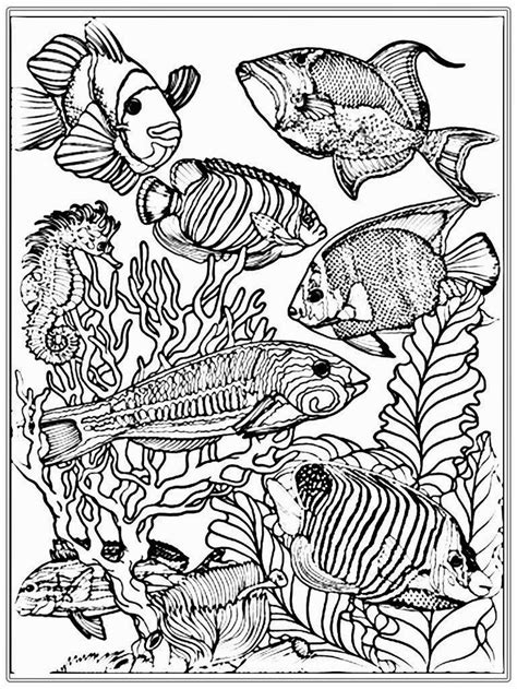 Printable underwater life ocean coloring page. Pin on Coloring pages for Adults