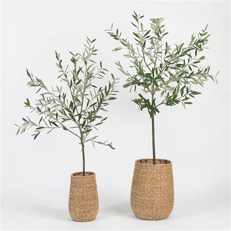 Artificial Fruitless Olive Tree - Pillow Talk