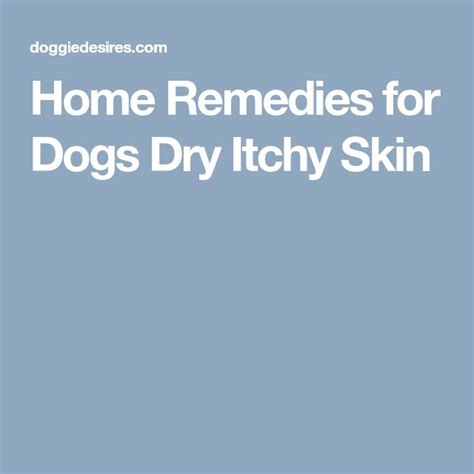 Home Remedies For Dogs Dry Itchy Skin Dry Itchy Skin Dog Skin