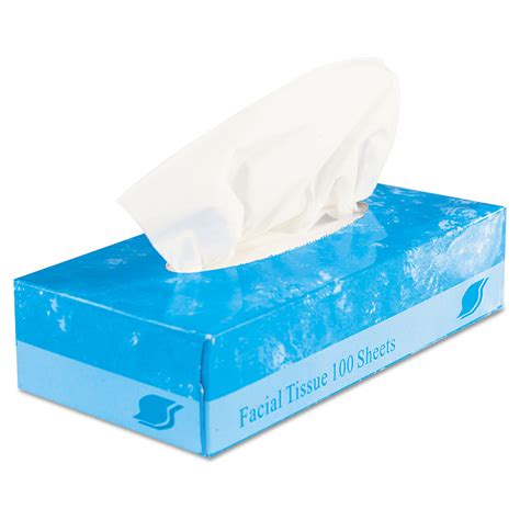 Boxed Facial Tissue 2 Ply White 100 Sheetsbox Golden Isles Office