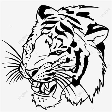 Tiger Head Vector Tiger Drawing Tiger Head Drawing Head Drawing Png