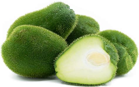 Prickly Chayote Squash Information Recipes And Facts
