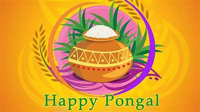Pongal Celebration Festival Tamil Wallpapers