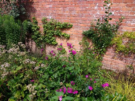 Woodside Walled Garden Nr Jedburgh Scottish Borders