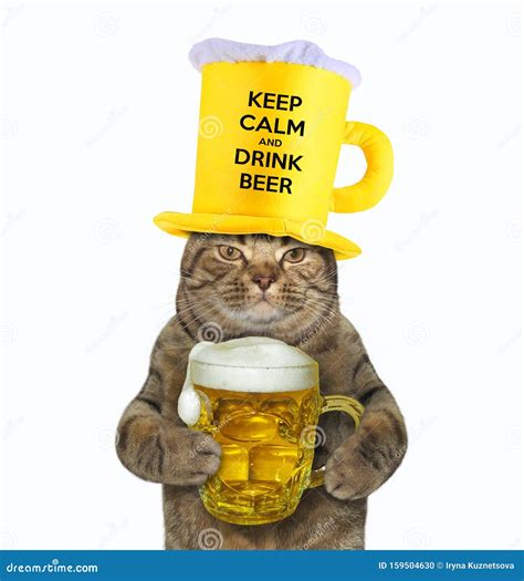 Cat In Yellow Hat Drinks Beer Stock Photo Image Of White Holiday