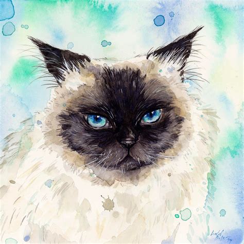 Watercolour Cat Watercolor