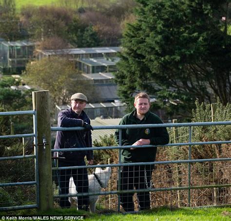 Lynx Escapes From Borth Wild Animal Kingdom Daily Mail Online
