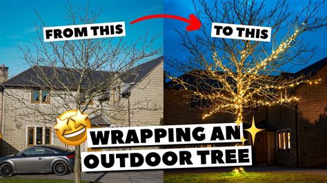 How Do I Install String Lights On An Outdoor Tree For Christmas Youtube