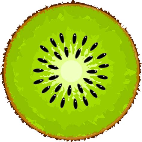 Kiwi Clipart 20 Free Cliparts Download Images On Clipground 2024
