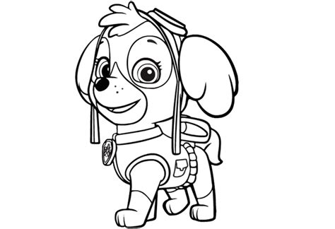 You might also be interested in coloring pages from paw patrolcategory. Paw Patrol Sky Coloring Page paw patrol coloring pages sky ...
