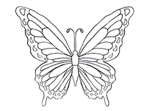 10 Disegni Di Farfalle Da Colorare Il Blog Di Mamma E Casalinga
