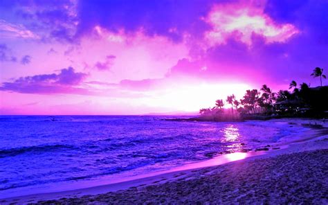 Konsep Purple Beach Sunset Paling Top
