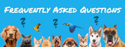 Pet Sitting Faq Pet Sitters Fort Collins Paws At Home