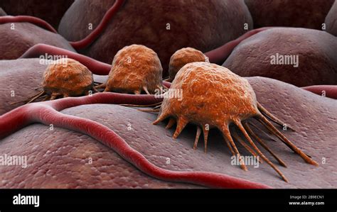 Conceptual Image Of Cancer Virus Stock Photo Alamy