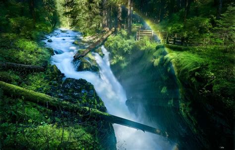 Обои лес река водопад брёвна Olympic National Park Sol Duc Falls
