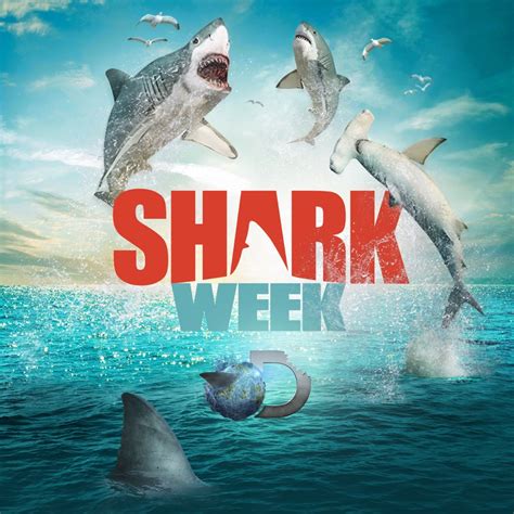 Shark Week 2014 Release Date Trailers Cast Synopsis And Reviews