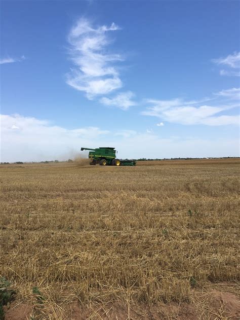 Viewing A Thread 2018 Wheat Harvest Complete New Farmer Update