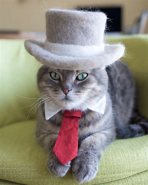 Meet The Worlds Most Renowned Fallen Fur Felted Hat Designer For Cats
