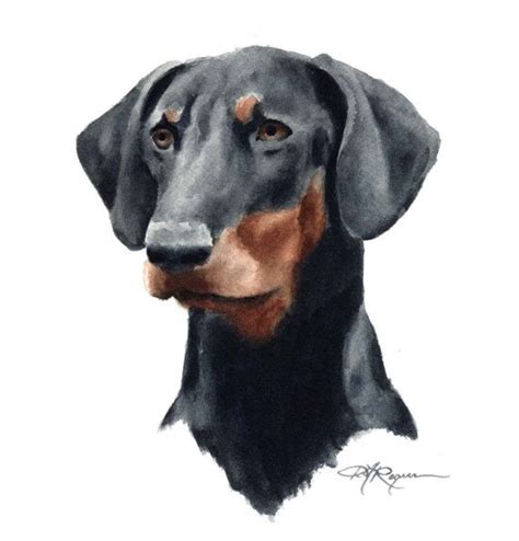 Doberman Pinscher Dog Doberman Puppy Watercolor Artist Watercolor