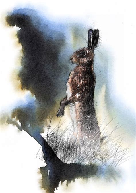 Brown Hare Standing Seanbriggs Sketch A Day Fine Art Drawing