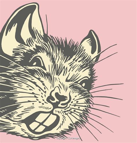 Gerbil Illustrations Unique Modern And Vintage Style Stock Illustrations For Licensing Csa