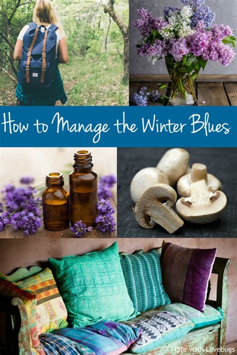 How To Manage The Winter Blues Life With Lovebugs