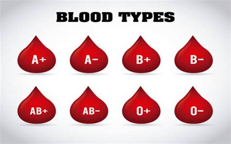 Ini Karakter Manusia Dari Golongan Darah A B Ab Dan O