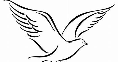 Dove Drawing Flying Tattoo Bird Simple Clipart