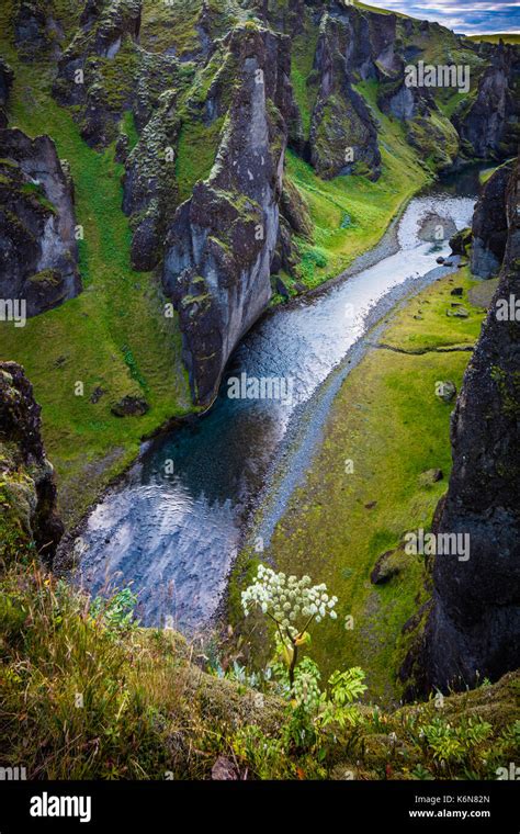 Fjaðrárgljúfur Is A Canyon In South East Iceland Which Is Up To 100 M