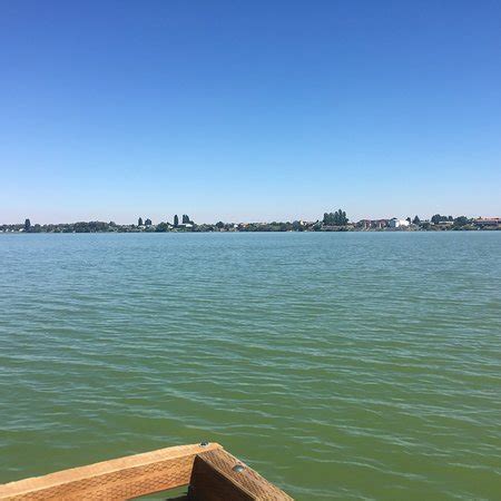 The park, maintained by the new york city department of parks and recreation, was acquired by the city. Blue Heron Park (Moses Lake) - 2020 All You Need to Know ...