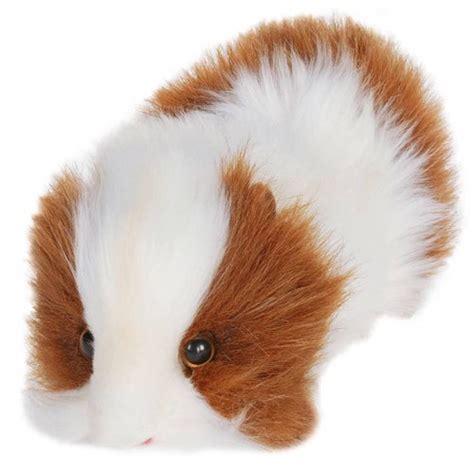 Guinea Pig Stuff At Walmart Online Sale Up To 63 Off