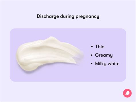 Vaginal Discharge During Pregnancy What Does It Mean Flo