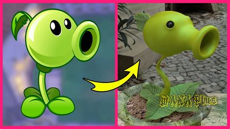 Plants Vs Zombies 2 Plants In Real Life 👉wana Plus Youtube