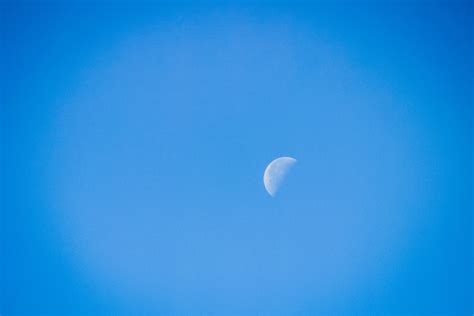 Free Stock Photo Of Daylight Moon Half Moon Moon