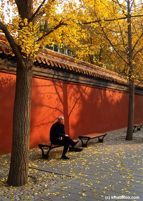 Photographs Of The Colors Of Autumn In Beijing