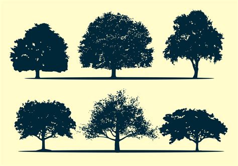 Oak Tree Silhouette Vectors Download Free Vector Art Stock Graphics 9ba