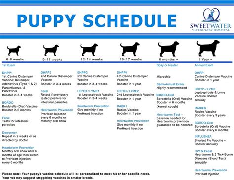 Puppy Vaccination Schedule India Ligia Ho