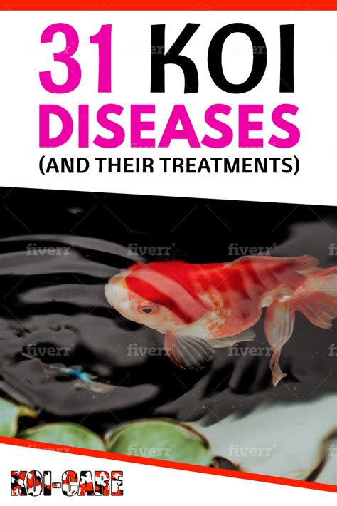 Are Your Koi Having Health Issues Does Your Koi Have A Disease That