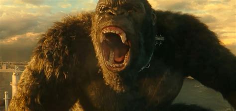 It is self aware and makes the most of two titans pitted against each other. Godzilla vs. Kong First Look Footage Revealed | Cosmic Book News