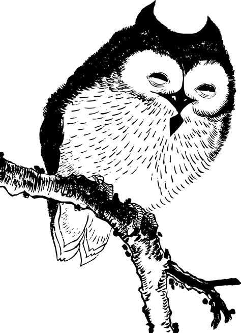Owl Free Stock Photo Public Domain Pictures