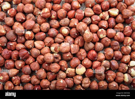 Peeled Hazelnuts Full Background Stock Photo Alamy
