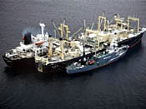 Nisshin Maru Reinicia Su Navegación Mundomaritimo