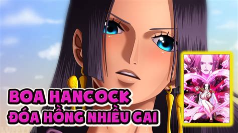 Nữ Hoàng Hải Tặc Boa Hancock Đóa Hồng Rực Lửa Nhất One Piece Cảm Nhân Vật One Piece Op