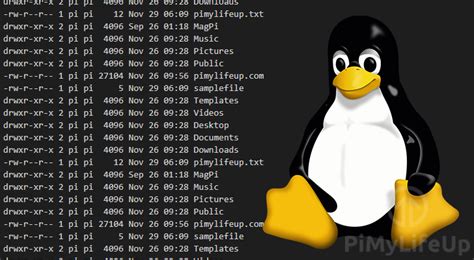 Every file and directory in your linux system has the following three permissions. The Basics of File Permissions in Linux - Pi My Life Up