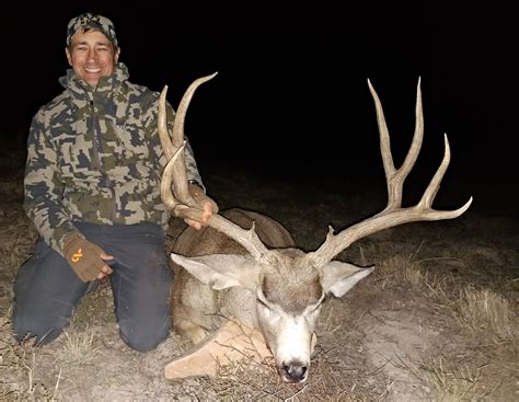 Guided Mule Deer Hunts In New Mexico Trophy Mule Deer Hunting Outfitter