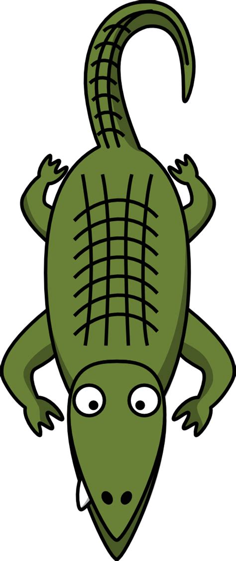 Alligator clipart cartoon, Alligator cartoon Transparent ...