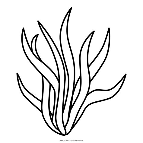 Kelp Coloring Page Coloring Pages